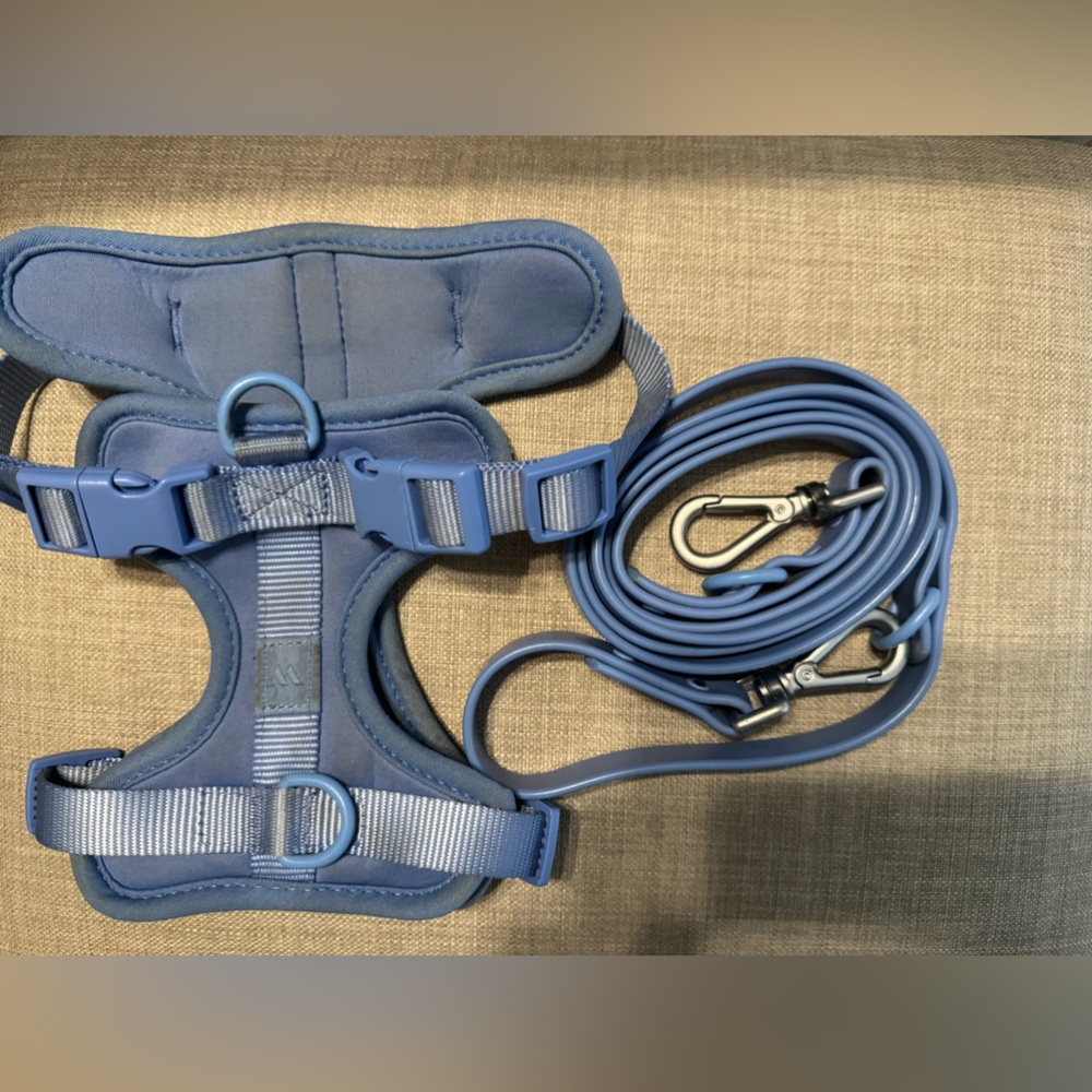 Moonstone Wild One Pet Harness & Leash